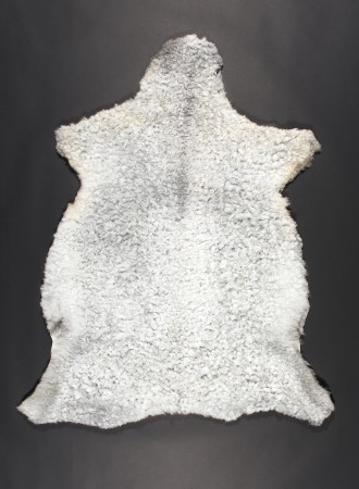 PELS SAU-mouton-gris-clair-bébé-850k